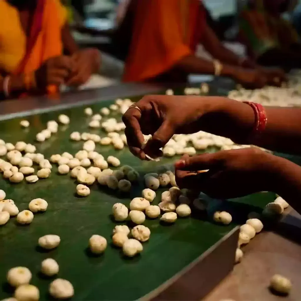 Makhana Process